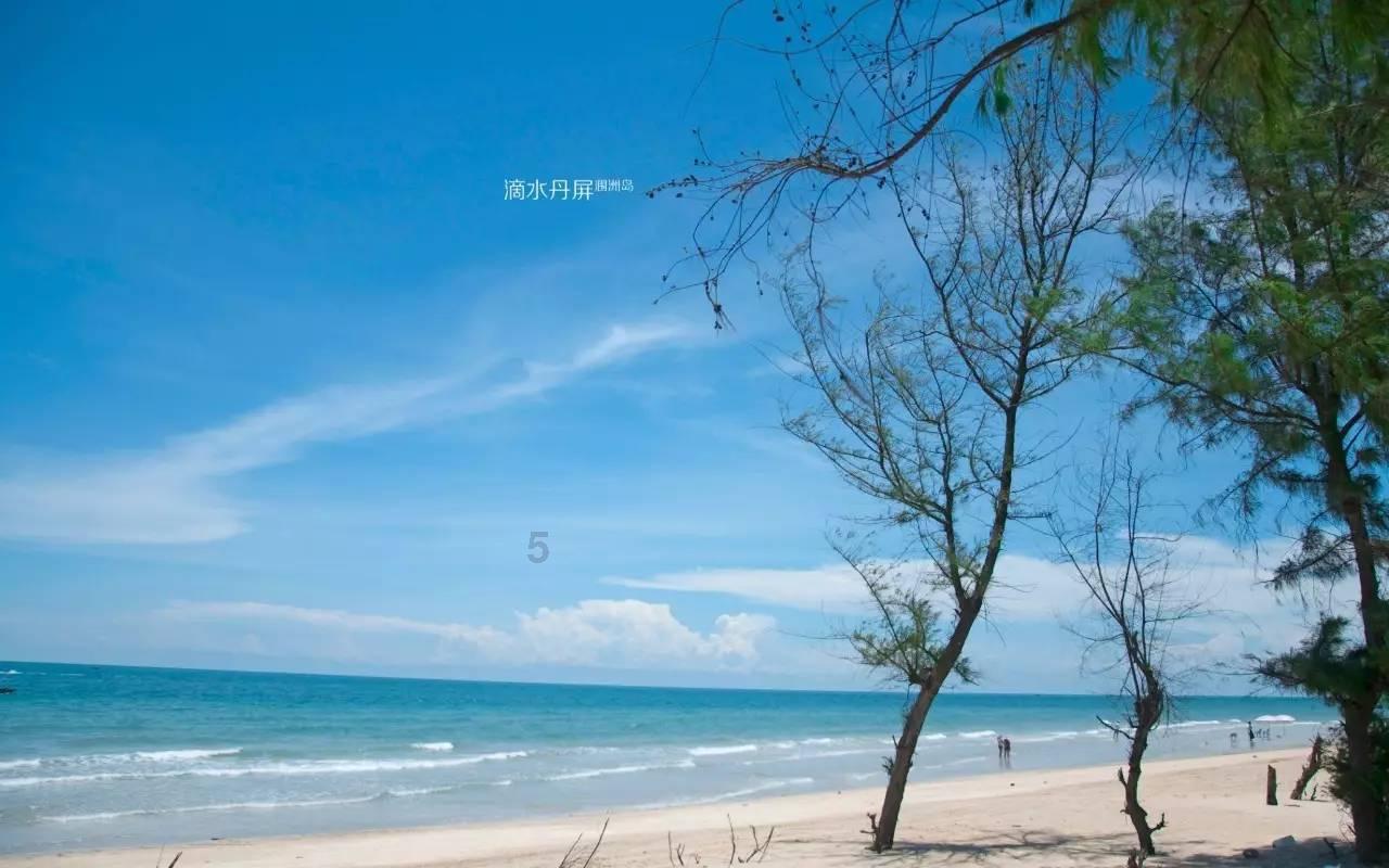 继续逐梦！博主：何小珂不回国踢球，他将去塞尔维亚第二级别球队